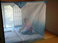 昔の蚊帳 室内の蚊対策に蚊帳が有効・朝日新聞│快適な眠り・安眠を提案する菊屋